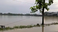Sungai Klawing Meluap hingga ke Pemukiman Warga
