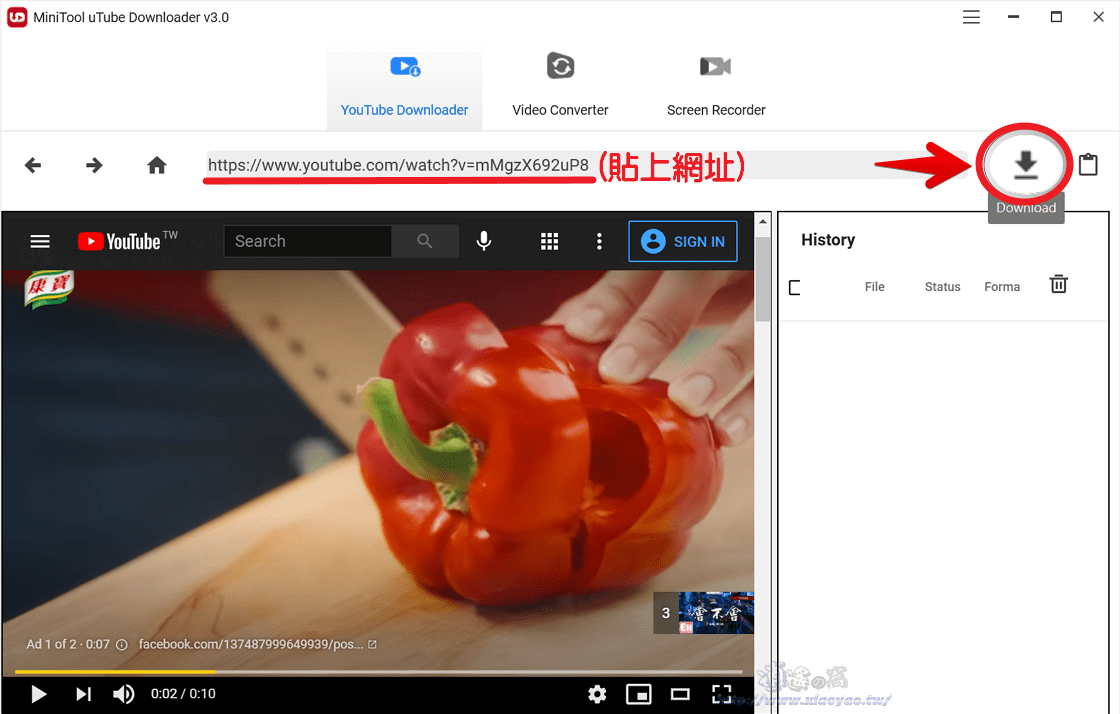 MiniTool uTube Downloader 批量下載YouTube