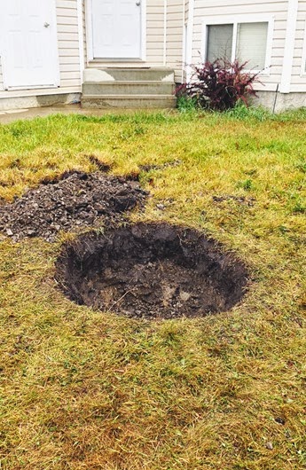 20131002 tree hole (4) edit
