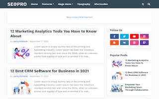 Seo pro blogger template
