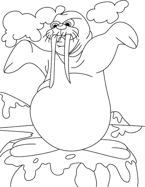Fat walrus Printable Animals Coloring Pages 