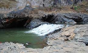 Dandeli Resort