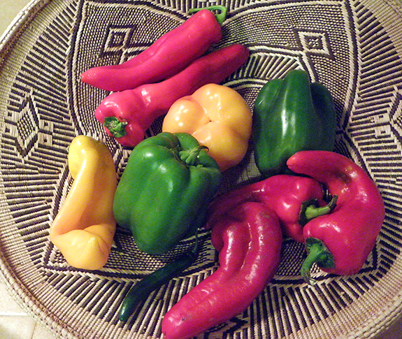 basket of raw peppers