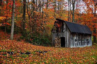 Fotos de Paisajes en Otoño, parte 3