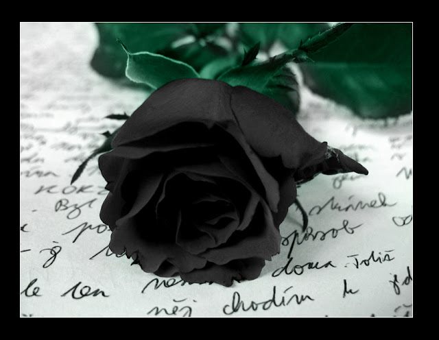 Black rose dnsvrm amazing
