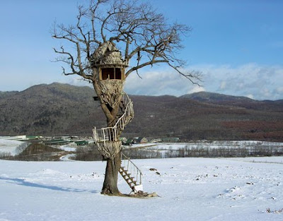 Driftwood Egg Treehouse