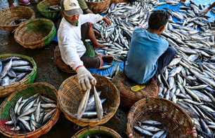Indonesia economy grows faster than expected despite lagging exports