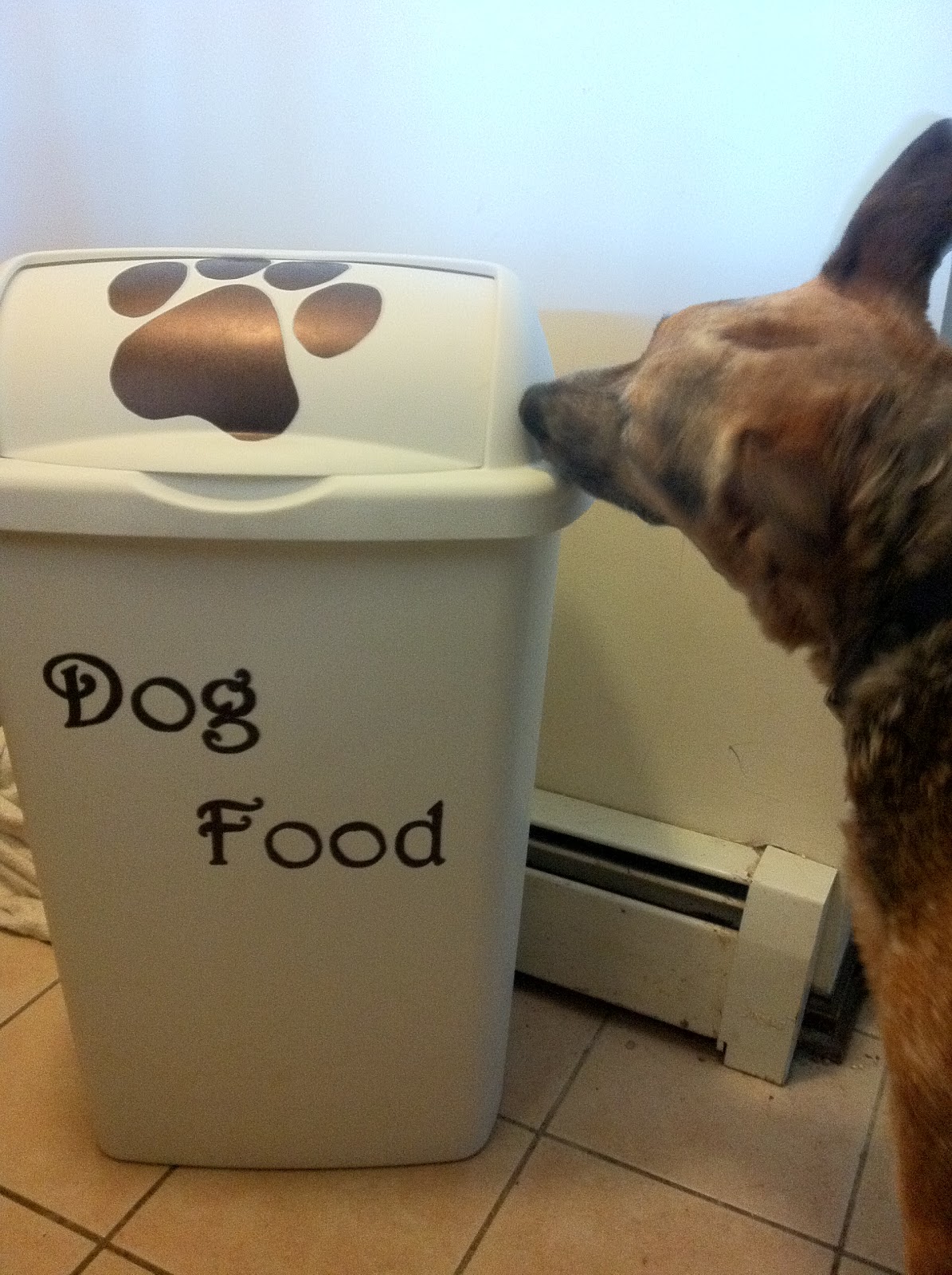 The Redhead at Home: Dog Food Storage