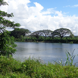 View album