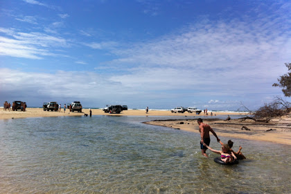 Dingoes, Dunes And Desolation - A Two Day Adventure on Fraser Island