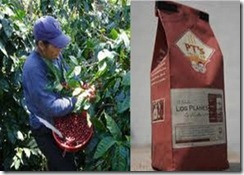 7. Los Planes Coffee, Citala, El Salvador