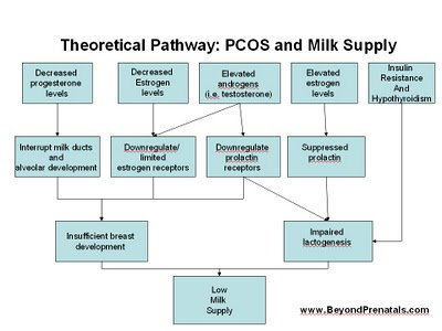 How To Get Pregnant With Pcos. to get pregnant due to PCOS.