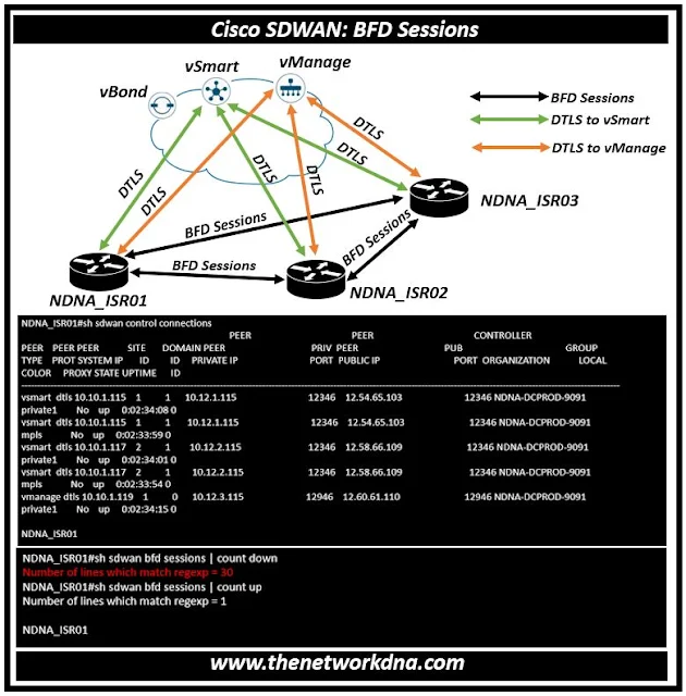 Cisco SDWAN : BFD Sessions