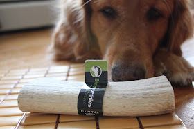 Barkworthies Elk Antler chew review and giveaway