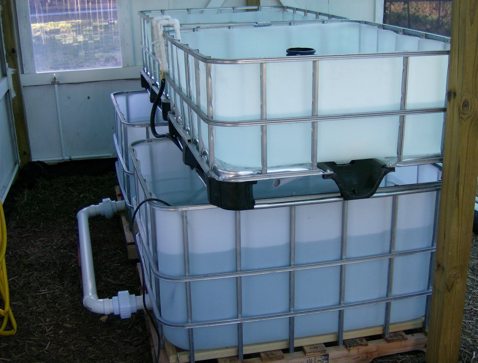 The Aquaponics Gardener: IBC Tote Tank Aquaponics