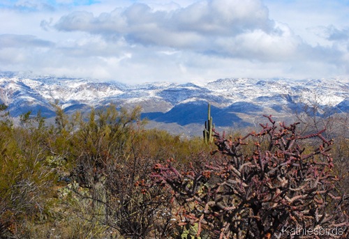 16. snow-kab