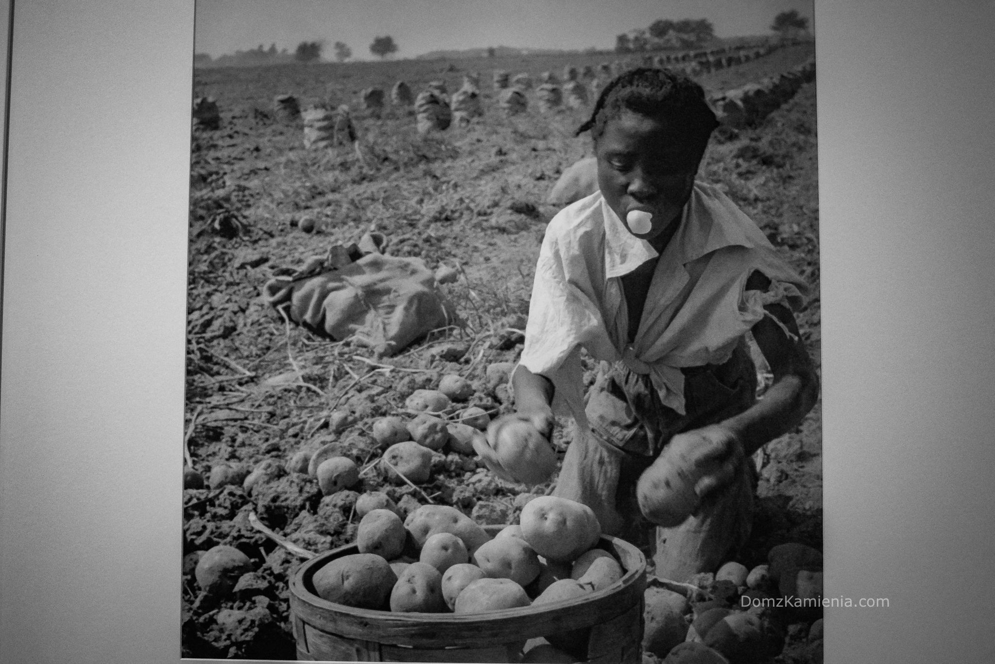 Eve Arnold - mostra Forlì, Dom z Kamienia blog, fotografia