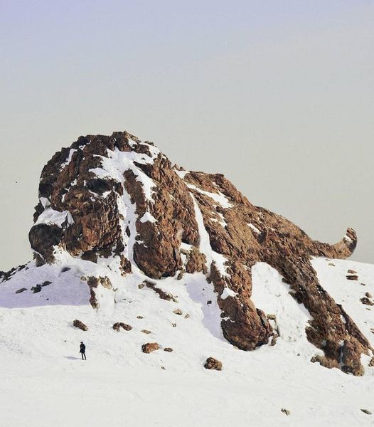 Puppy Mountain