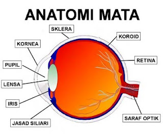 Sains dan teknologi selalu membawa kita untuk bisa memahami alam Alat Optik: Pengertian, Macam, Gambar, Rumus, Contoh Soal dan Pembahasan Bagian 1