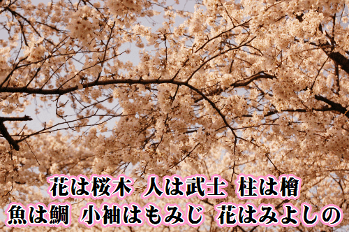 花は桜木 人は武士 柱は檜 魚は鯛 小袖はもみじ 花はみよしの のぶヒろぐ 屁理屈こねずに漆喰こねて