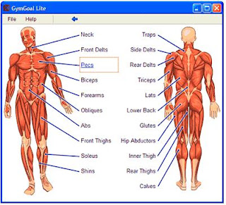 PROGRAMMA PER ALLENAMENTO PALESTRA