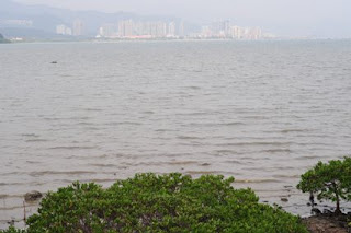 沙頭角海（Sha Tau Kok Hoi）の向こうに沙頭角（Sha Tau Kok）の街並み