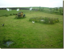 1 day 5 london to yorkshire 020