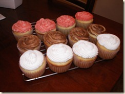 cupcake sampler (2)