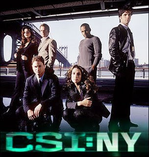 CSI New York Season 6 Episode 7
