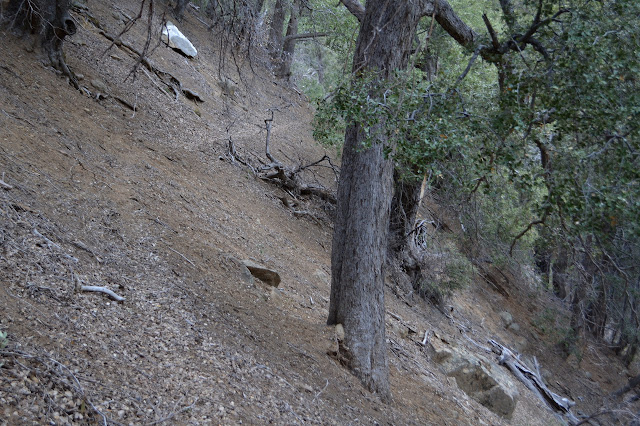 thin trail along a steep dirt slope