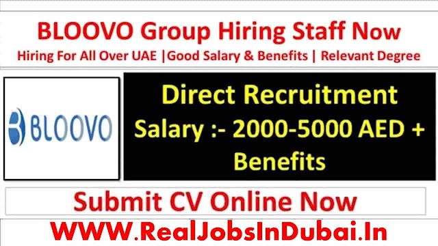 BLOOVO Careers Jobs Vacancies In Dubai - UAE 2022