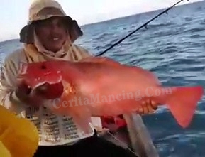 Strike Mancing Ikan Kakap Merah Besar