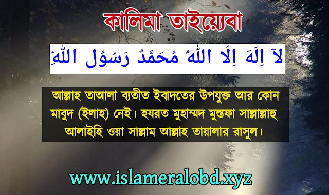 কালিমায়ে তাইয়্যেবা এর আরবি, বাংলা উচ্চারণ, অর্থসহ | কালিমা তাইয়্যেবা ফজিলত