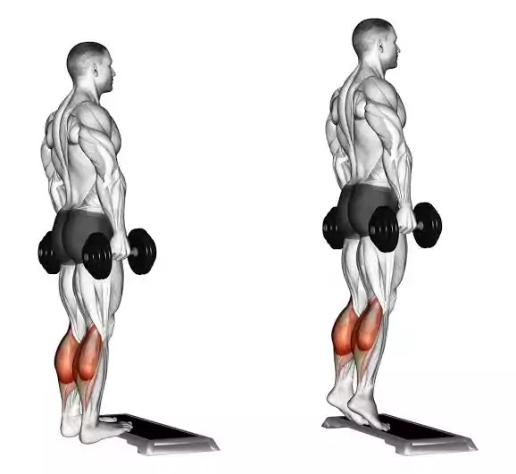 Leg-Workout-With-Dumbbells