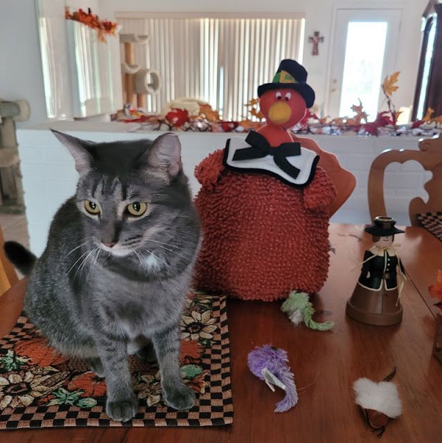 Sawyer, want to come hang out with me and Mr. Turkey?