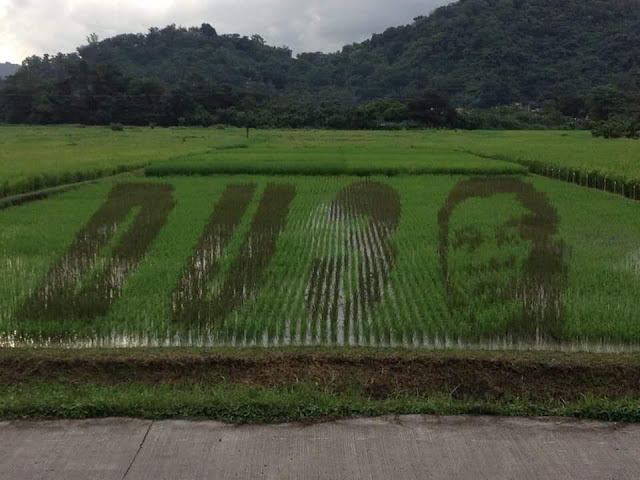Malikhaing Pagtatanim: PhilRice Impressed The Netizens With Their 'DU30 Paddy Art' That Has Gone Viral!
