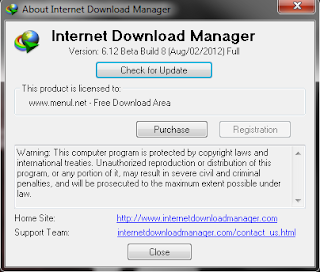 Internet Download Manager 6.12 Beta Build 8 incl Patch