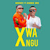 Download Audio Mp3 | MavoiceTz Ft. Mchongo Rapa – X Wangu