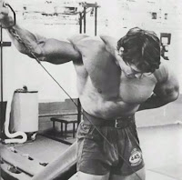 Arnold hey you, no pain no gain