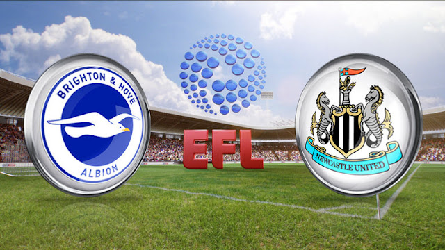 Prediksi Skor Brighton & Hove Albion vs Newcastle United | Polisibola.com 