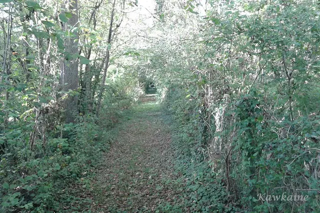 Pont de l'Houmelet