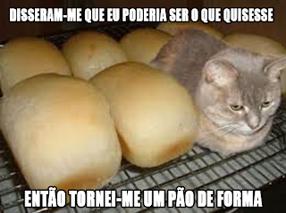 gato pão de forma