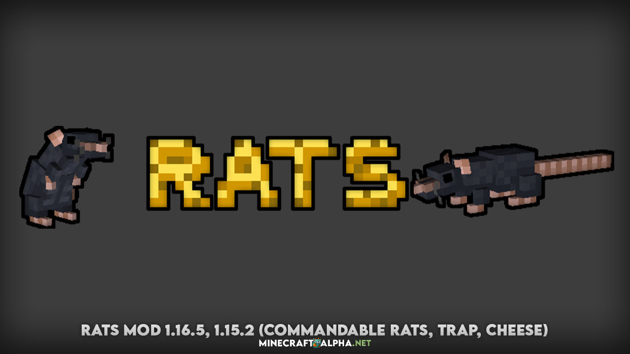 Rats Mod 1.16.5, 1.15.2 (Commandable Rats, Trap, Cheese)
