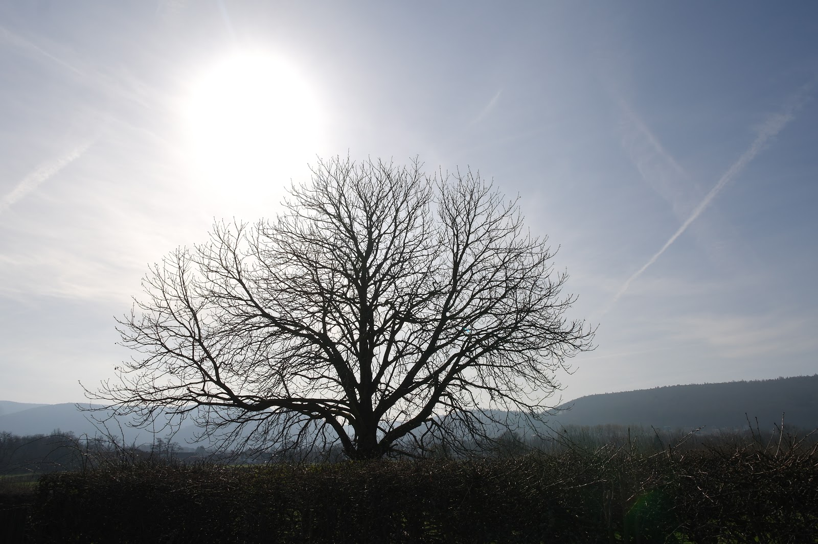 liebe ist wie sonne was bibel uns verspricht