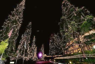 All lit up: Visitors to Cameron Highlands will not miss these beautifullly litted X'mas trees at the YTL Resort in conjunction with Christmas.