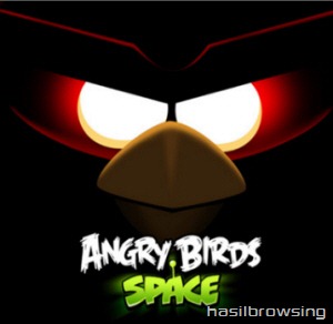 Angry birds space