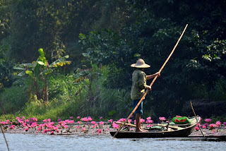 https://ollarpolafiestra.blogspot.com/2018/03/vietnam-central-e-tam-coc.html