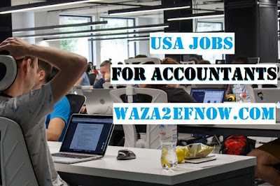 وظائف أمريكا للمحاسبين USA Jobs for Accountants | كتاباتو