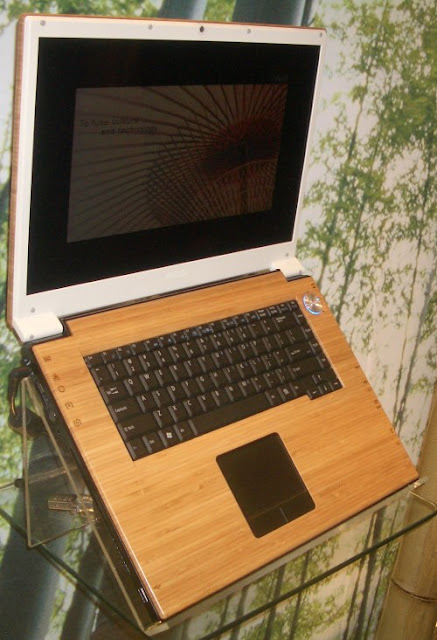 Bamboo Laptop3
