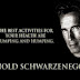 Arnold Schwarzenegger Theme By RB Themes